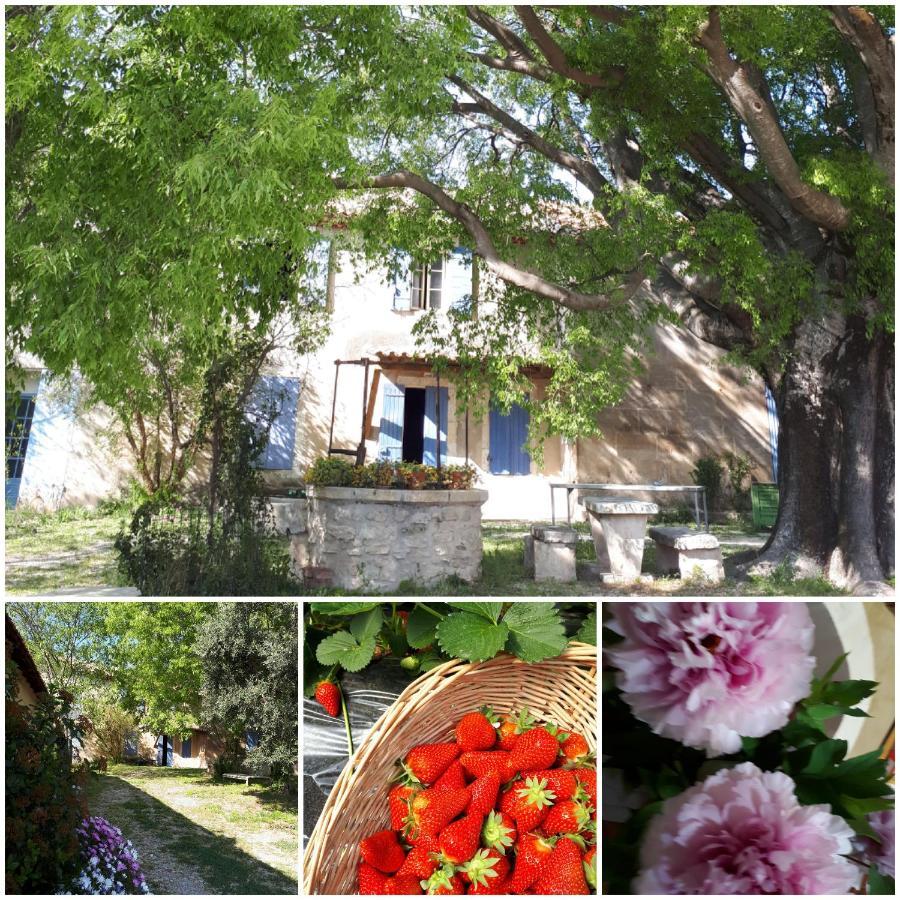 Mas Saint-Joseph Bed & Breakfast Fontvieille Eksteriør bilde